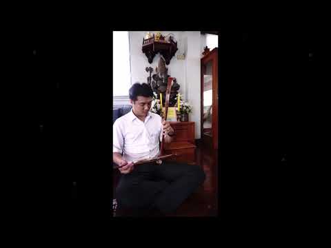 เดี่ยวซอด้วง เพลง นกขมิ้น 3 ชั้น By Sound Muang