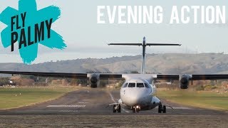 Palmerston North Airport - Arrivals &amp; Departures | HD Plane Spotting