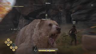 Assassins Creed Odyssey Cultist Zoisme