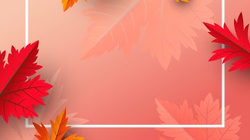 XII - Computer Science - Pure and Impure Function