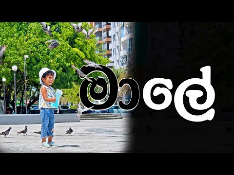 සිංහල කතා කරන මාලේ මිනිස්සු | Exploring Maldives 🇲🇻 | මාලදිවයිනේ තෙවැන්න | Male Day Tour