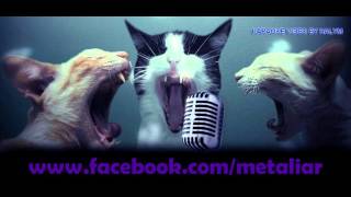Karaoke Pas Band ft Virus   Musnah No Vocal Lyric