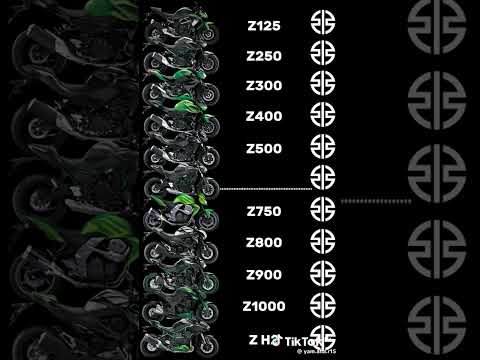 احسن الاصوات بعد صورة القرأن 