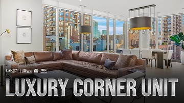 360 W Erie St Unit 7A Chicago, IL Laricy Properties Drone Tour Listing Video