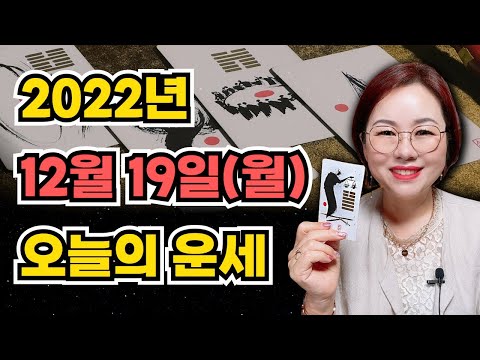 12월 19일 (월) 오늘의 운세 🦋 종합운•애정운•금전운•행운컬러