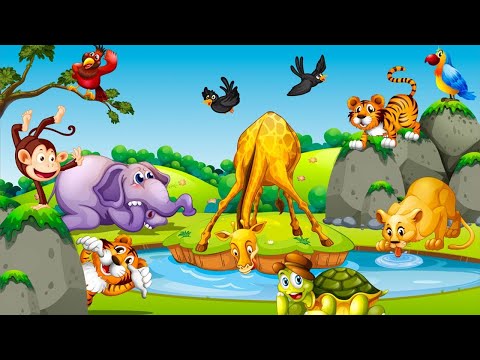 Cute Animal Sounds in Harmony Cat Dog mouse rat @animal30min