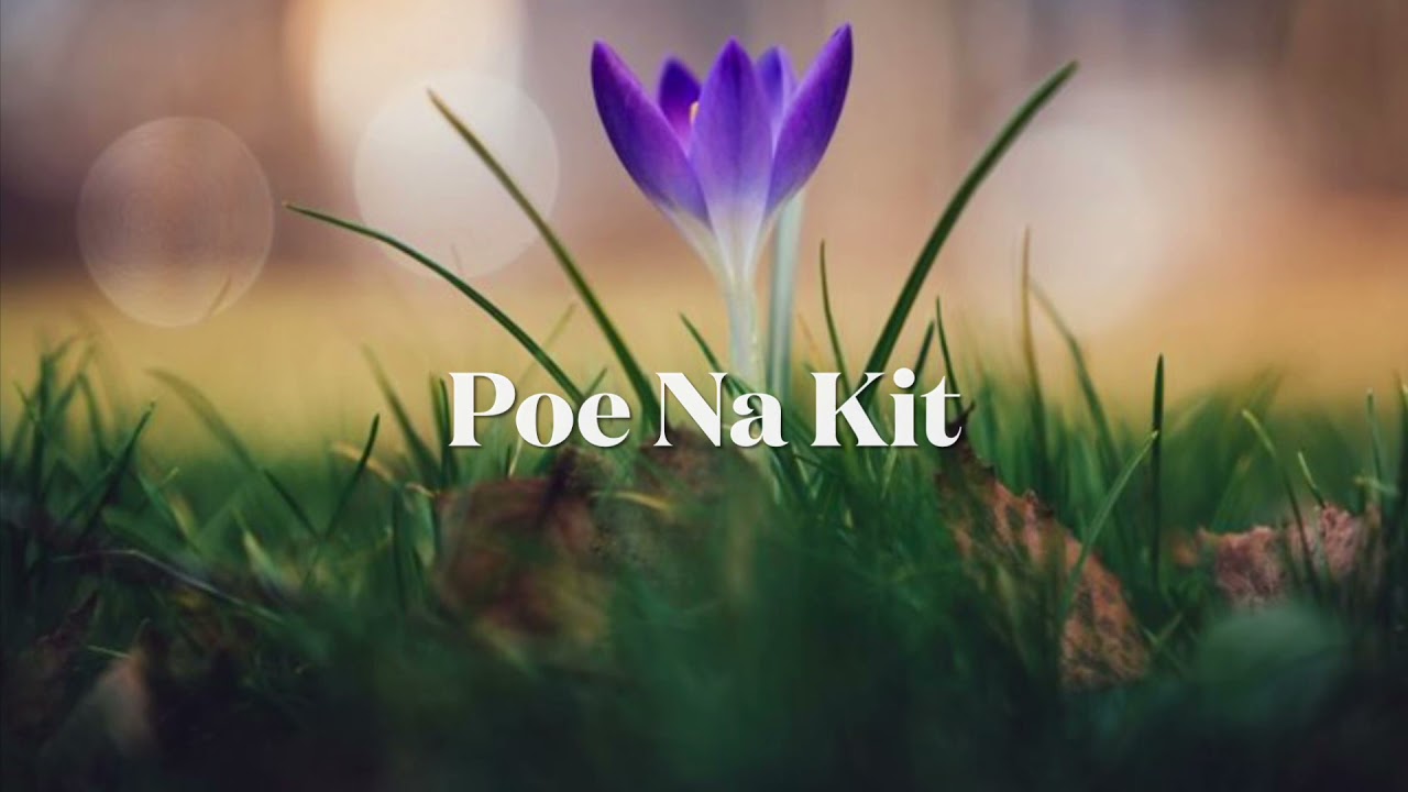 Life OF Poe Na Kit ( BY: LazyKing )