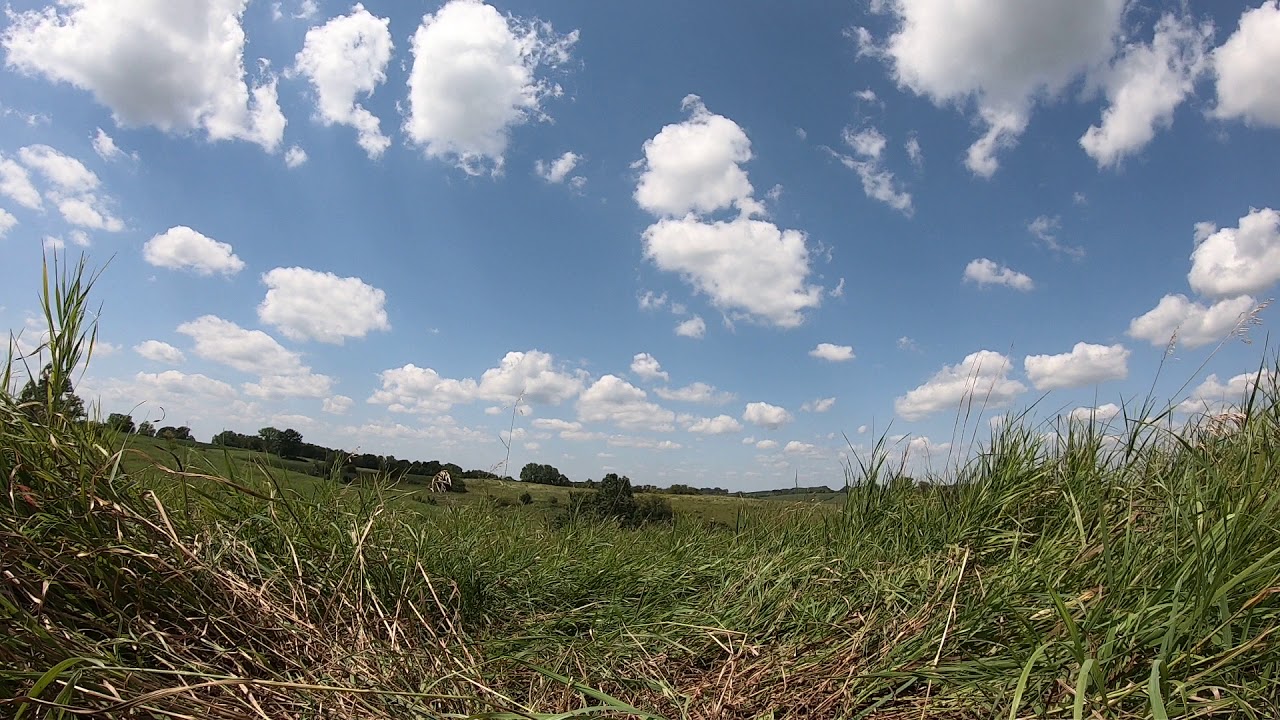 Hale Wildlife area Iowa August 4 2019 YouTube