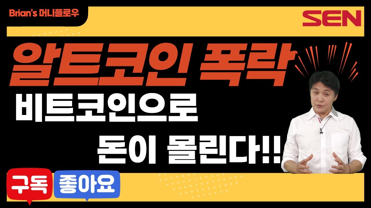 알트코인 폭락...비트코인에 몰리는 돈?! │ 머니플로우, 브라이언김, 코인, 암호화폐, 알트코인, 비트코인