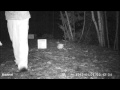 2012 Bushnell Trophy Cam HD testing LED settings for video