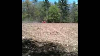 Farmall M pulling harrow