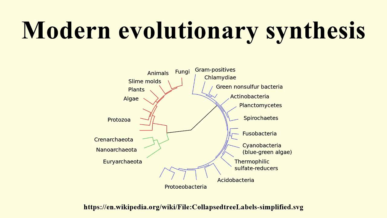 short note on evolutionary synthesis