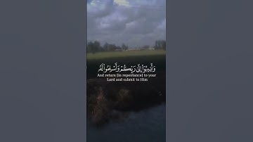 تلاوة هادئة تريح الأعصاب 😴🎧 القارئ: اسلام صبحى سورة: الزمر 💙❤