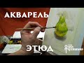 Акварель Этюд груши