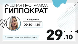 Заболевания мочеполовой системы. Эфир от 29.10.20