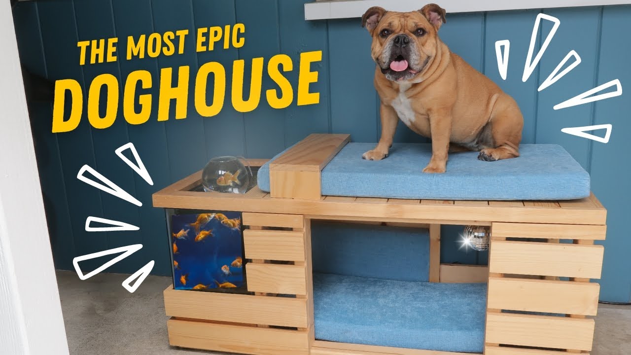 Escape the ordinary: Building the Ultimate Dog House - YouTube