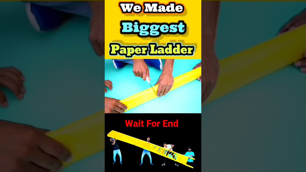 We Made Biggest Paper Ladder 😱😱😱🤔🤔 | 