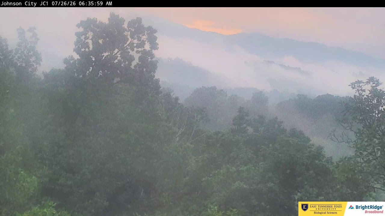 Johnson City Cam 1: ETSU Eagle Cameras