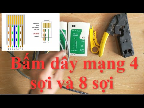 Video Hướng dẫn bấm dây mạng 4 sợi và 8 sợi cực nhanh | Minh... - youtube