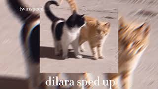 dilara-sped up