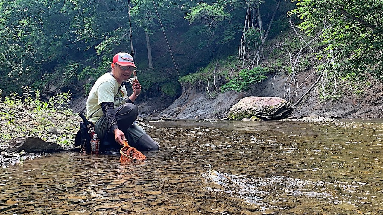 夏の小渓流でヤマメ狙いのはずが 北海道渓流ルアーフィッシング Hokkaido Mountain Stream Lure Fishing Youtube