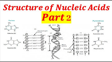 𝑺𝒕𝒓𝒖𝒄𝒕𝒖𝒓𝒆 𝒐𝒇 𝑵𝒖𝒄𝒍𝒆𝒊𝒄 𝑨𝒄𝒊𝒅𝒔 𝑷𝒂𝒓𝒕 2 | Recorded Lecture Video for Medical students