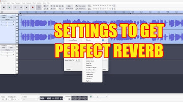 How to Apply Perfect Reverb & Echo Settings for Audacity (Beginner Guide)