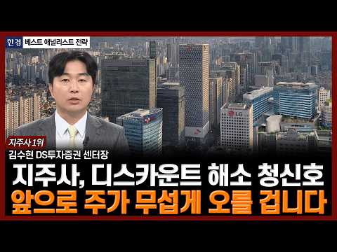 지주사, 디스카운트 해소 청신호…앞으로 주가 무섭게 오를 겁니다 | 김수현 DS투자증권 센터장