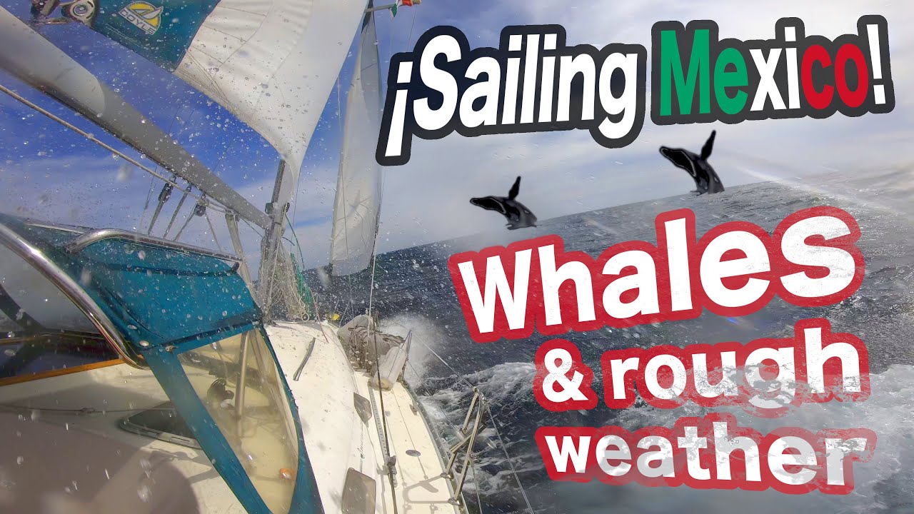 Sailing Mexico: BREACHING WHALES AND ROUGH WEATHER! Ep.12 – East Cape & La Paz