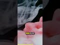 Budak Notifikasi di Jam Malam #shorts