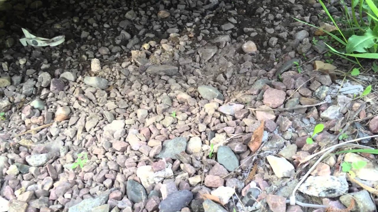 Работа мерседес w124 2.3 KE-jetronic - YouTube