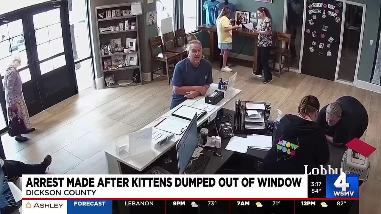 Man accused of throwing kittens from car window reportedly arrested in TN