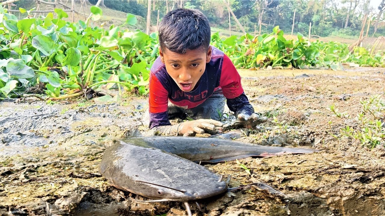 Best Fishing Video 2022  Traditional Small Boy Catching Big Fish By Hand In River Site  Daily Life F