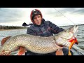 ЩУКИ-КРОКОДИЛЫ, ТОННЫ ЛЕЩА и 200кг ПРИКОРМКИ! ЯМА ПОЛНА РЫБЫ! Siberian fishing