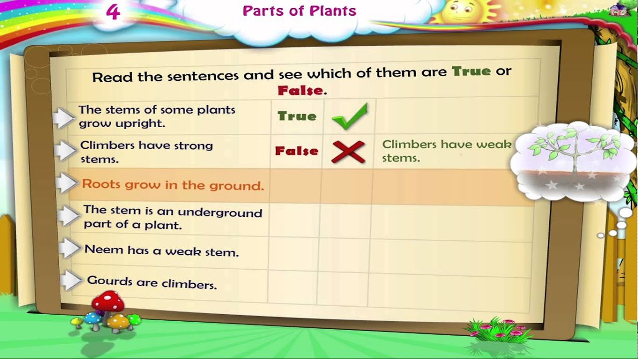 learn grade 3 science parts of plants youtube
