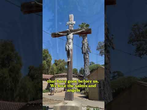 Why Catholics Have