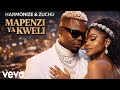 Harmonize Zuchu Mapenzi Ya Kweli Official Lyrics Music Video 2026