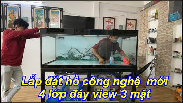 Cách Lắp Đặt Hồ Cá Công Nghệ Mới 4 Lớp Đáy View 3 Mặt - Hồ Cá Rồng - Hồ Cá Thắng Ngọc