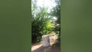 دحيم الحمادتلاوة سورتي الفلق والناس ١٤٤١هـ العماير برنية