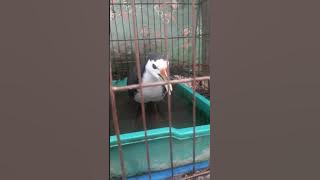 anh em nao thich lh 0944652913