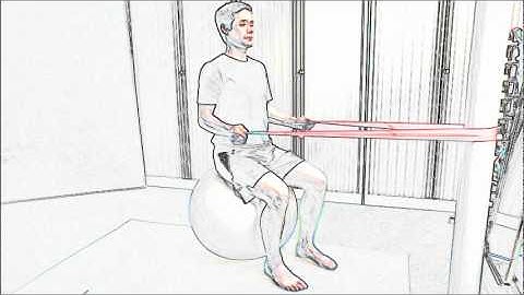Seated row with external rotation on the fitball