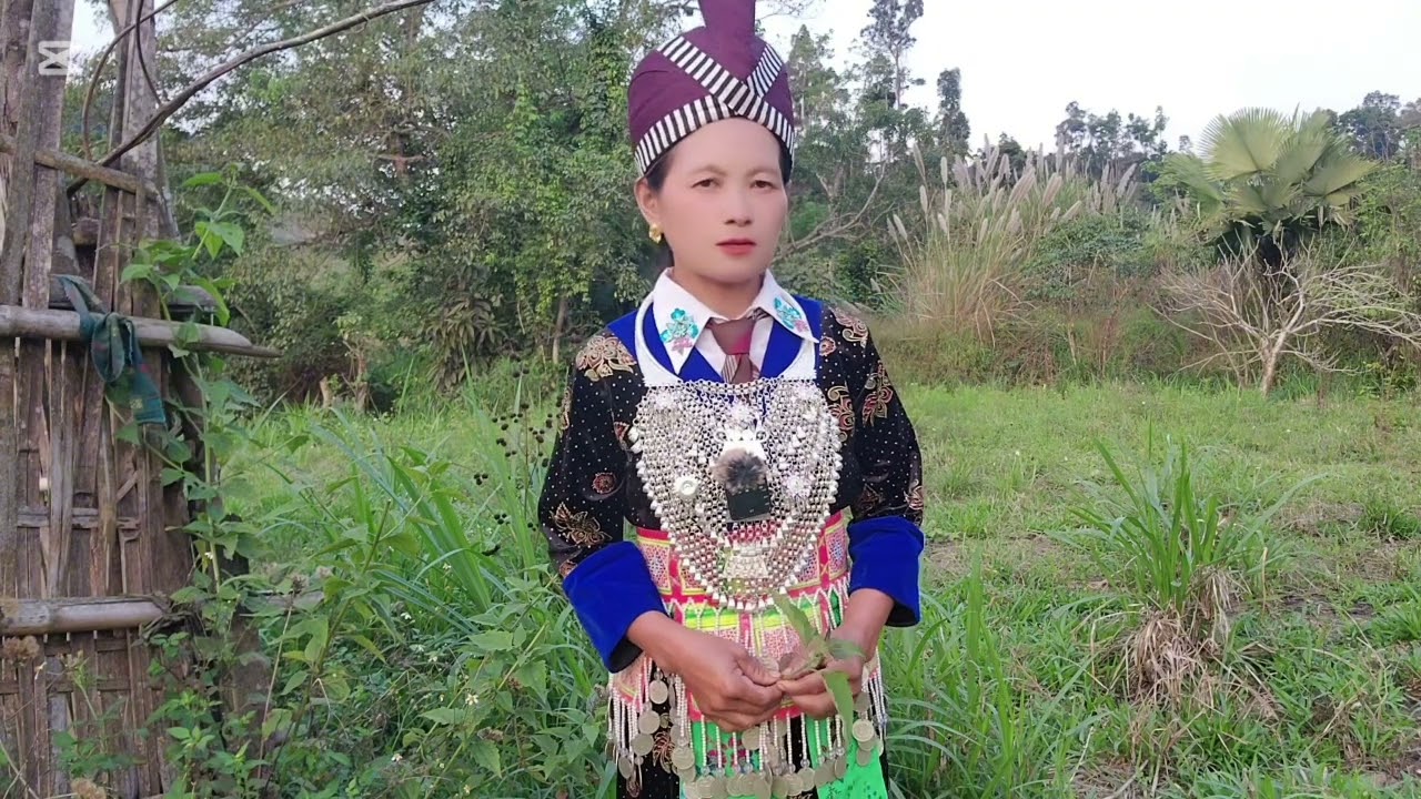 11 ມີນາ 2026