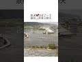 男人都喜歡跟別人的老婆聊天 老婆喜歡和別的男人聊天不得了 哈哈 正能量 Jessica 療癒 搞笑视频 男人都喜歡跟別人的老婆聊天 老婆喜歡和別的男人聊天不得了 哈哈 正能量 Jessica 療癒 搞笑视频