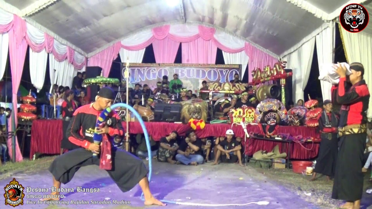 Perang Angker Celeng Srenggi Cantiknya SINGO BUDOYO Live Saradan Madiun