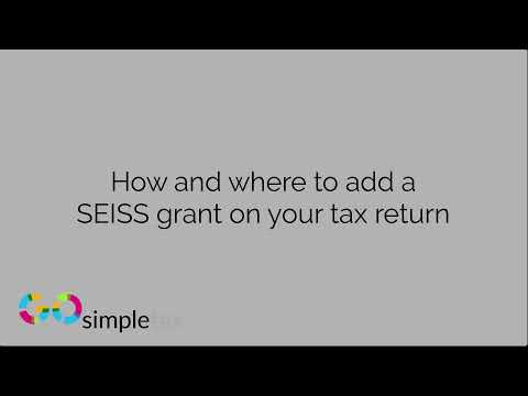 How and Where to Add a Self Employed Income Support Scheme (SEISS) Grant to Your Tax Return