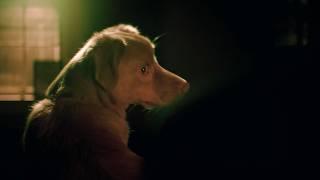 【「犬」視点ホラー】飼い主が頭から血を流し...　映画『GOOD BOY／グッド・ボーイ』冒頭映像