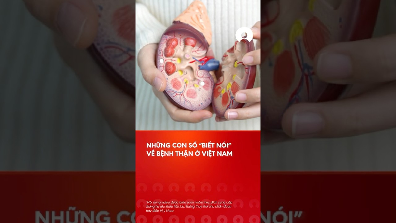 3 con sá»‘ Ä‘Ã¡ng lÆ°u Ã½ vá» gÃ¡nh náº·ng Ä‘iá»u trá»‹ bá»‡nh tháº­n táº¡i Viá»‡t Nam #vietnam #bá»‡nhtháº­n