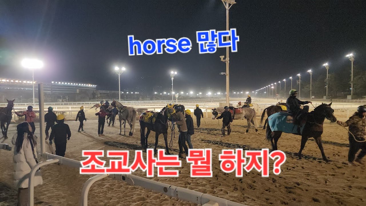 조교사는 뭘 하지?  horse 많다.