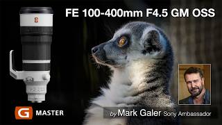Sony FE 100-400 F4.5 GM OSS Lens Review