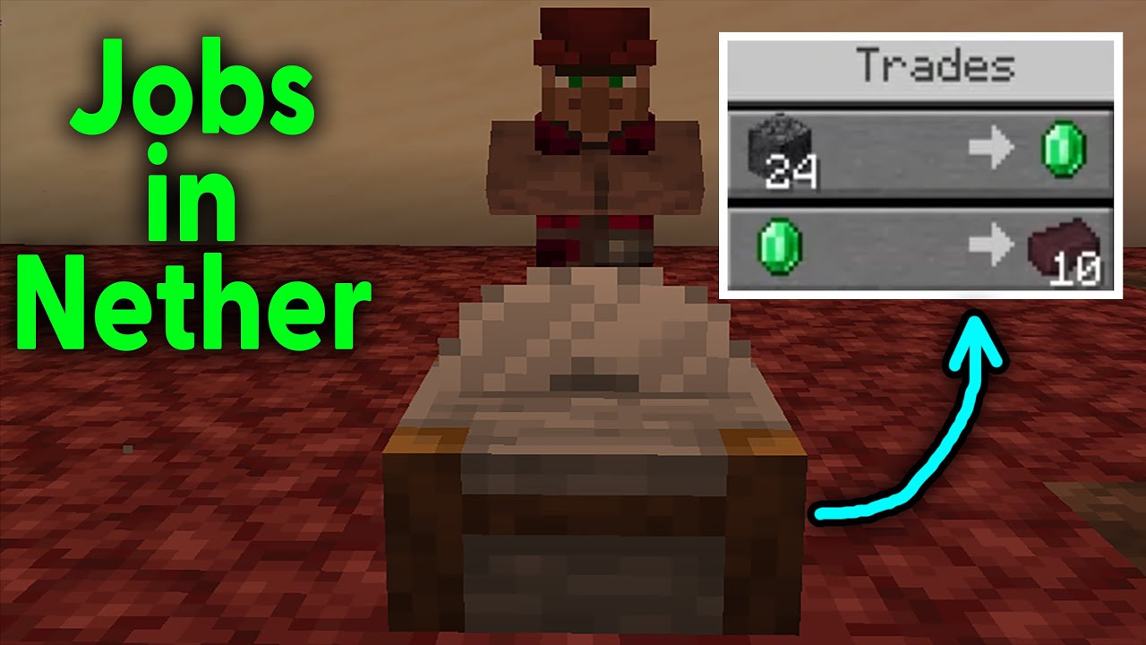 what if we give Jobs to Villagers in Nether??? YouTube